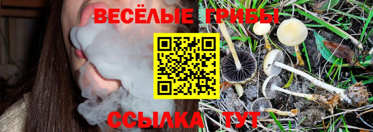 Галлюциногенные грибы ЛСД Химки